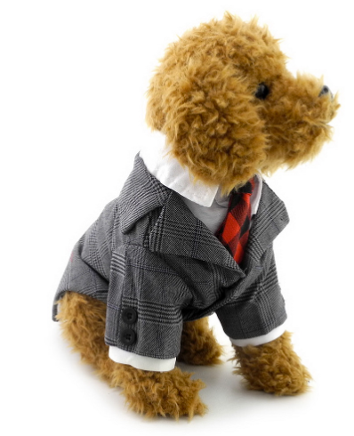 Dapper Suit and Tie