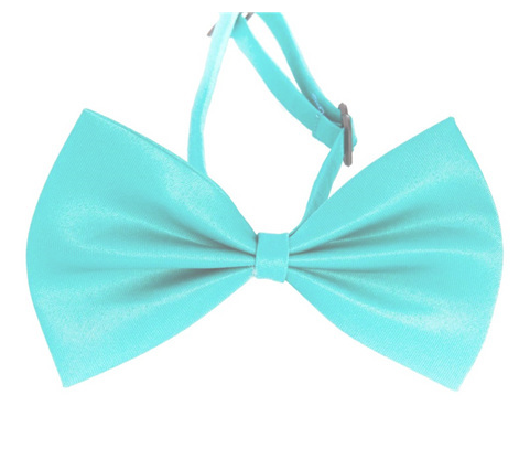 Solid Color Bowtie