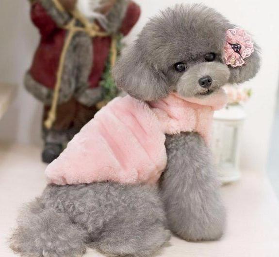 Posh Fur Vest