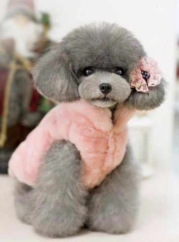 Posh Fur Vest