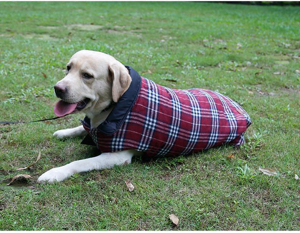 Reversible Plaid Jacket