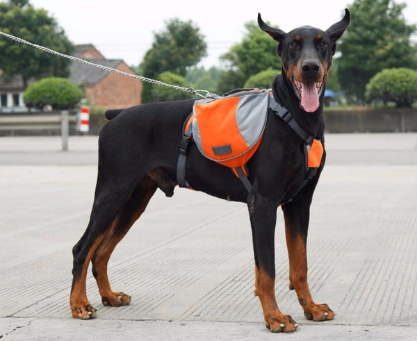 Hiking Backpack