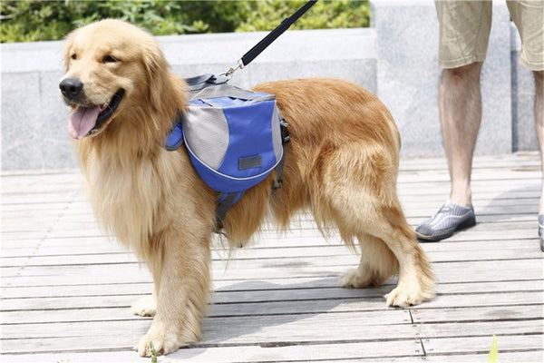Hiking Backpack