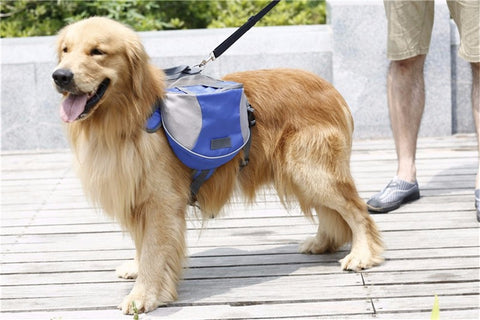 Hiking Backpack