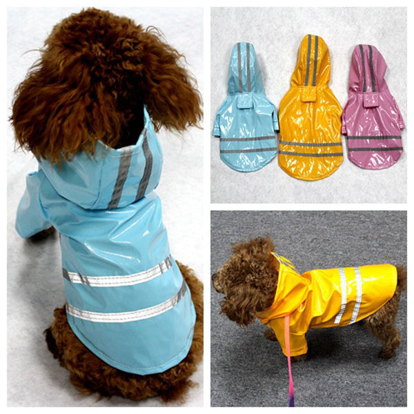 Rain Coat