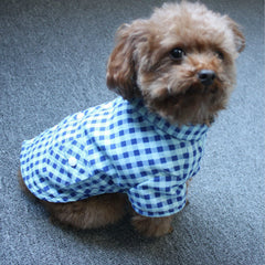 Checked Dress Shirt