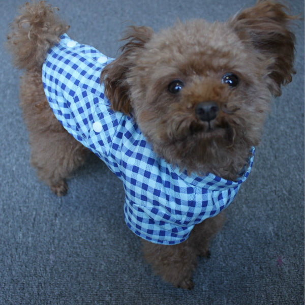 Checked Dress Shirt