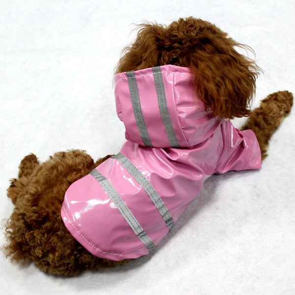 Rain Coat