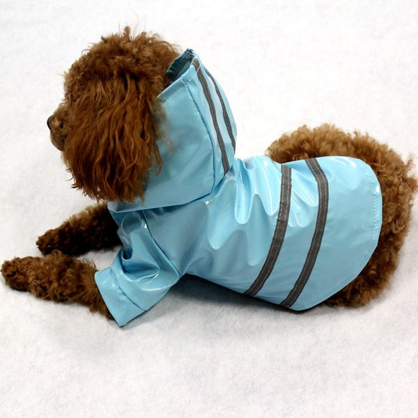 Rain Coat