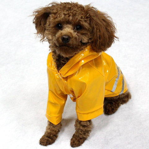 Rain Coat