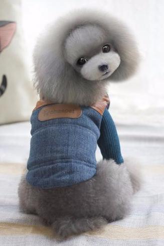 Winter Jacket