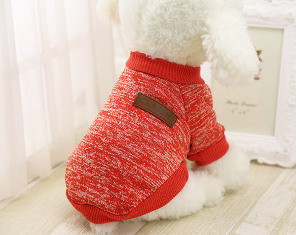 The Everyday Sweater
