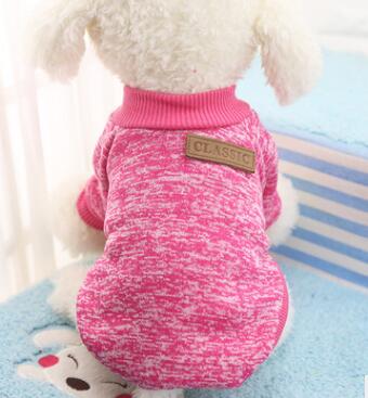 The Everyday Sweater