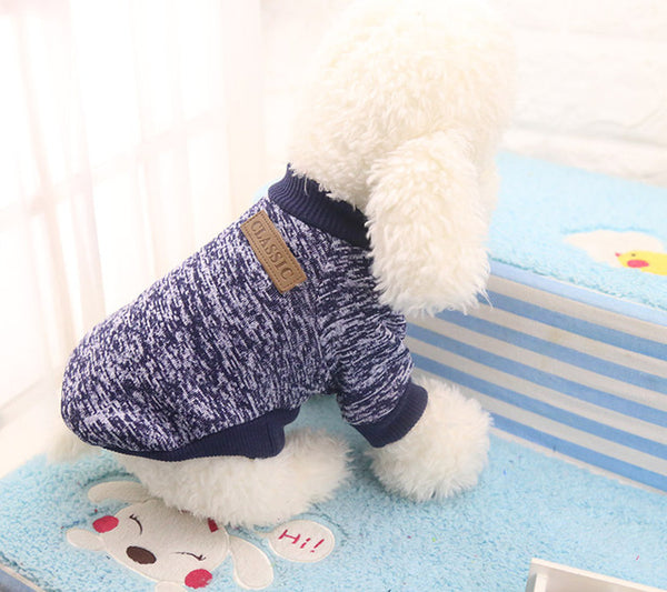 The Everyday Sweater