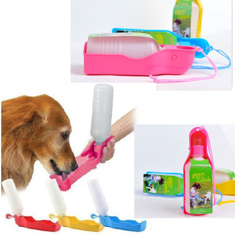 Portable Water Bottle
