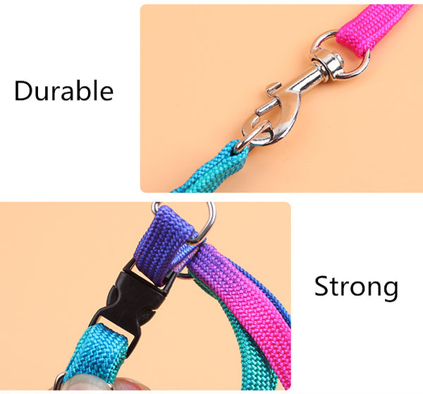 Rainbow Leash and Harness