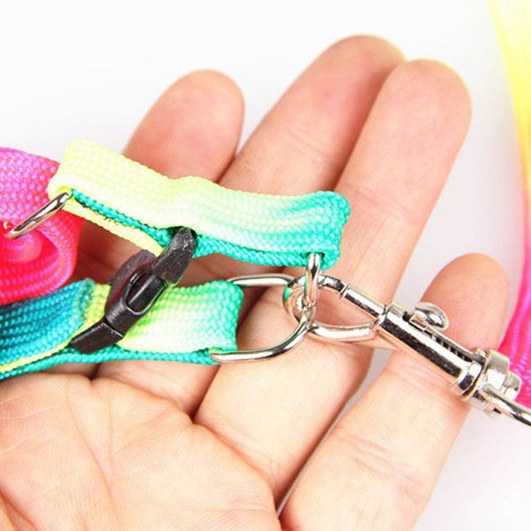 Rainbow Leash and Harness