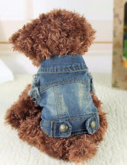 Denim Vest
