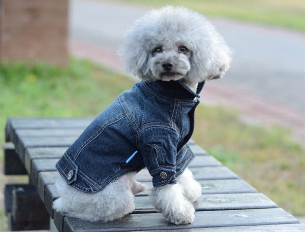 Long Sleeve Denim Jacket