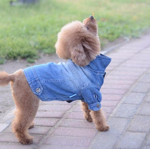 Long Sleeve Denim Jacket