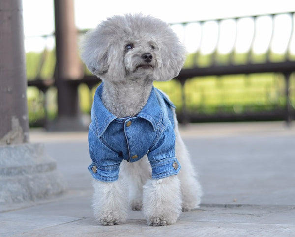 Long Sleeve Denim Jacket