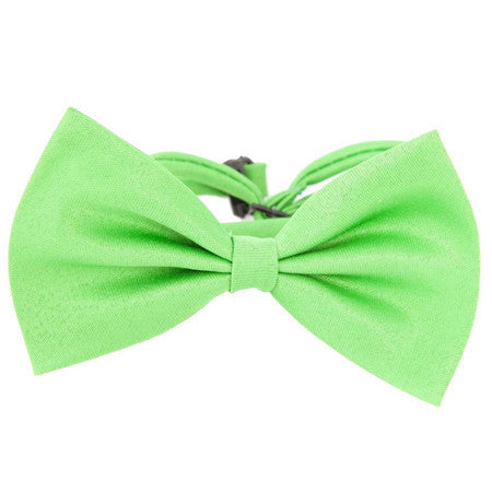 Solid Color Bowtie