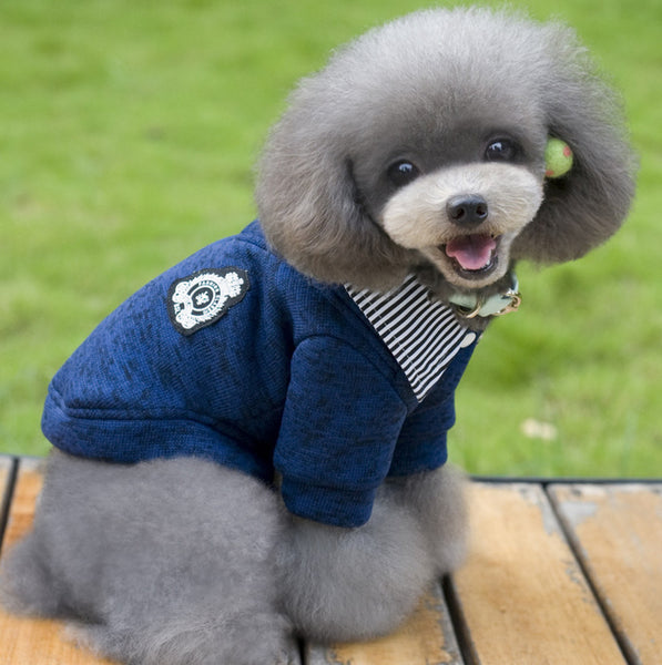 Preppy Gentleman