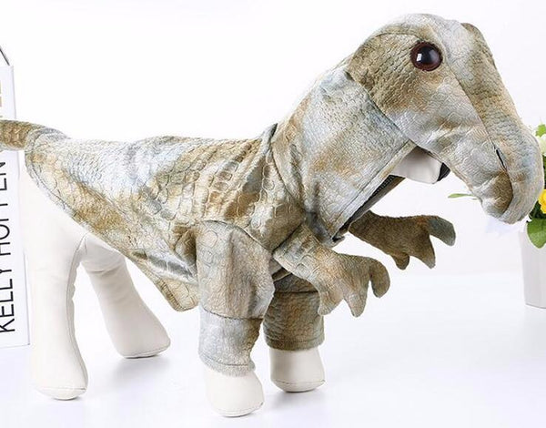 Raptor Costume