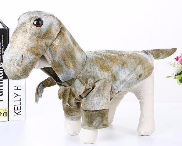 Raptor Costume