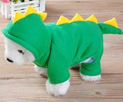 Dinosaur Costume