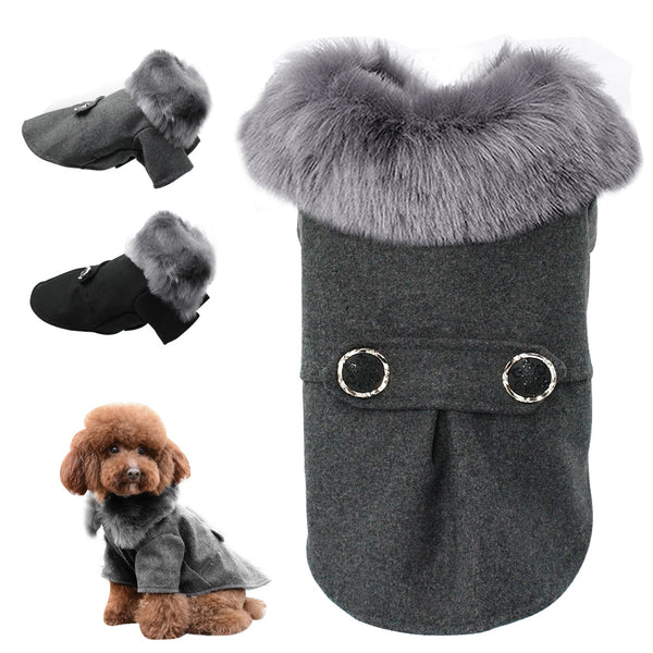Modern Fall Coat