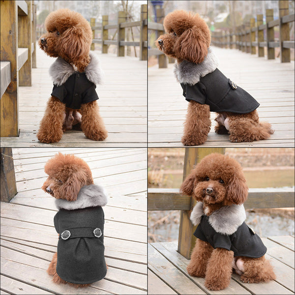 Modern Fall Coat