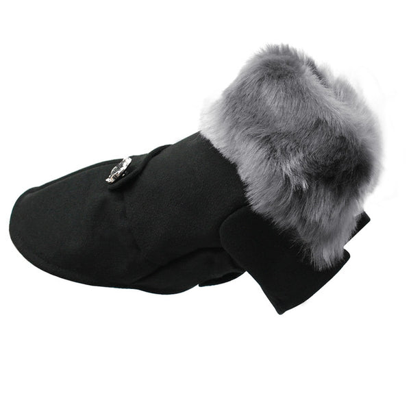 Modern Fall Coat