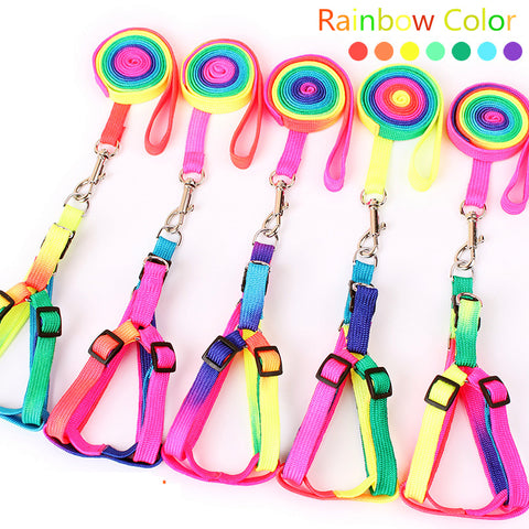 Rainbow Leash and Harness