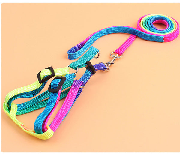 Rainbow Leash and Harness