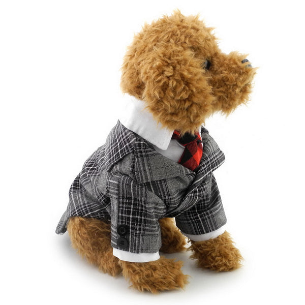 Dapper Suit and Tie
