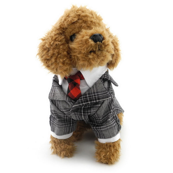 Dapper Suit and Tie