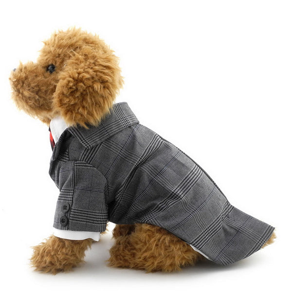 Dapper Suit and Tie