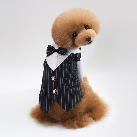 Pinstripe Tuxedo