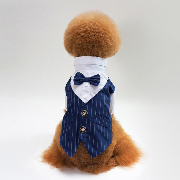 Pinstripe Tuxedo