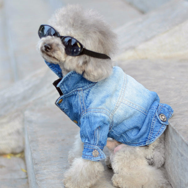 Long Sleeve Denim Jacket