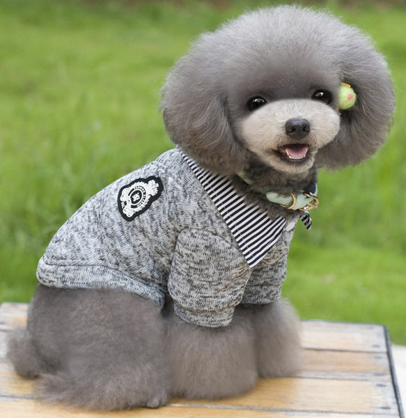Preppy Gentleman