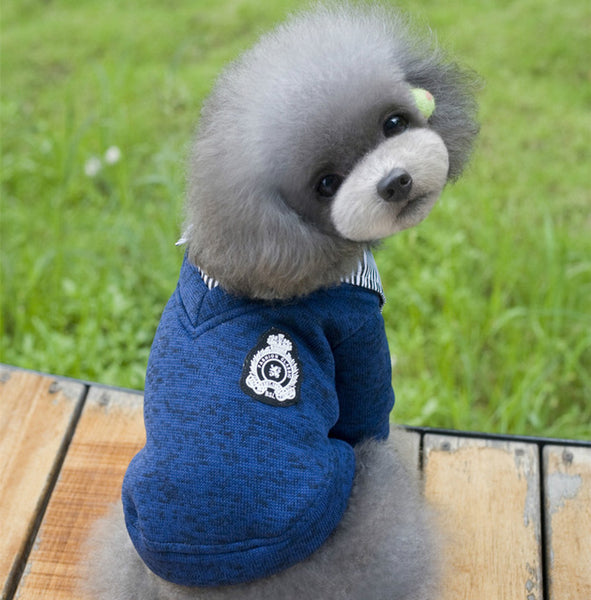 Preppy Gentleman