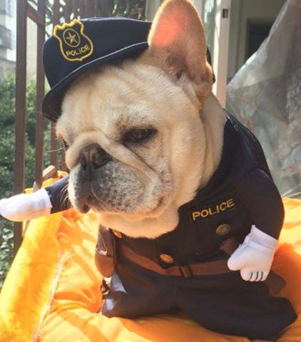 Police Costume