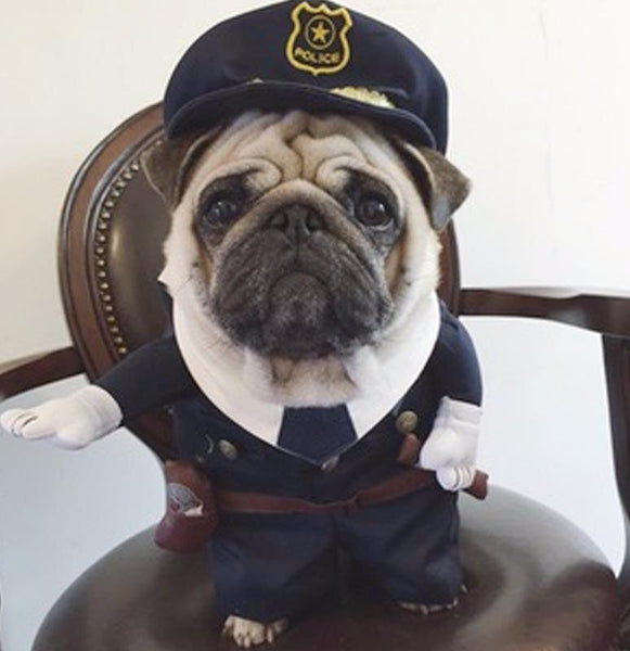 Police Costume