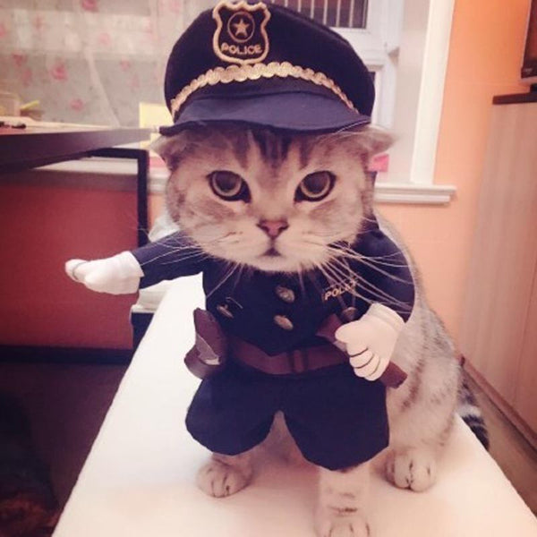 Police Costume